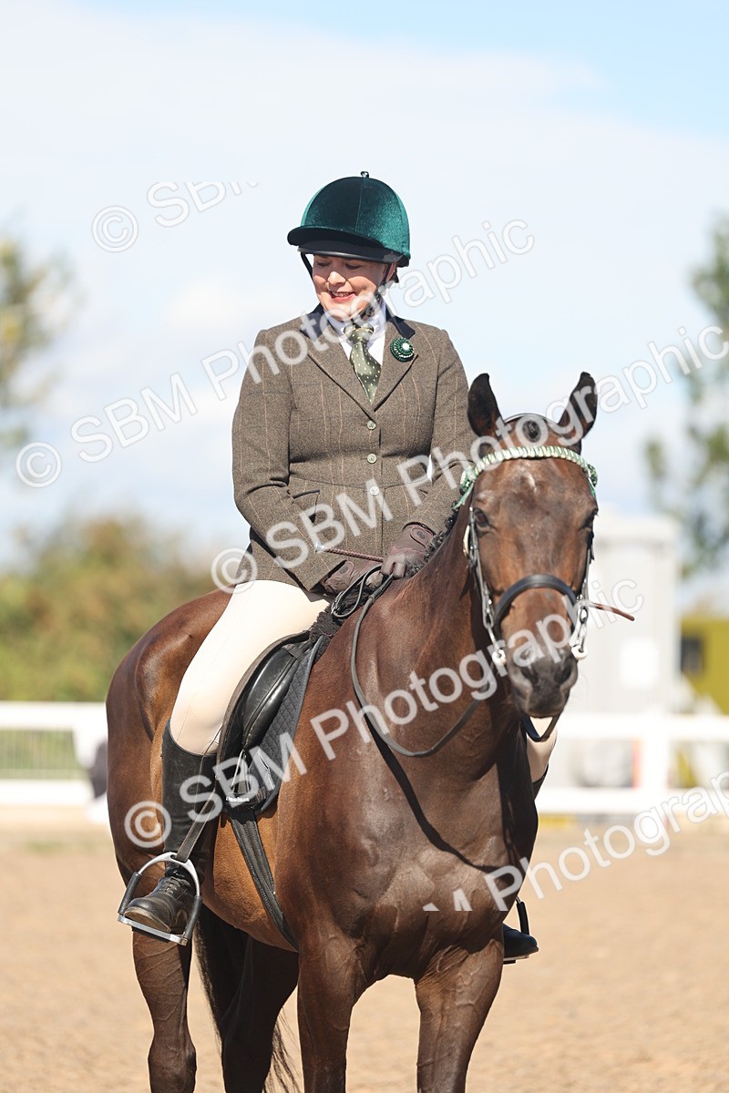 SBM_13115 - Class 305 - Ridden Foreign Breed Pure Bred