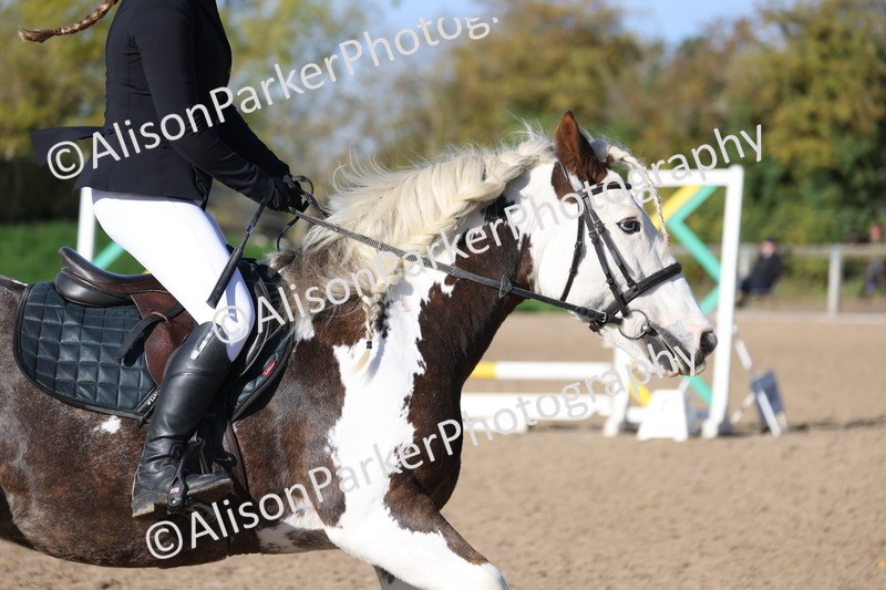 20251026-0333 - Class 2 - 70cm