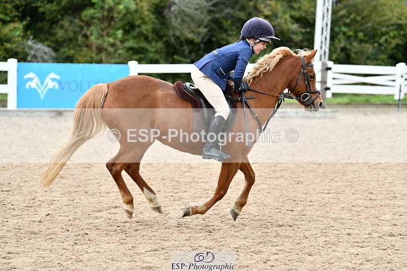 241013B-124931-01052 - Cls 3 50cm