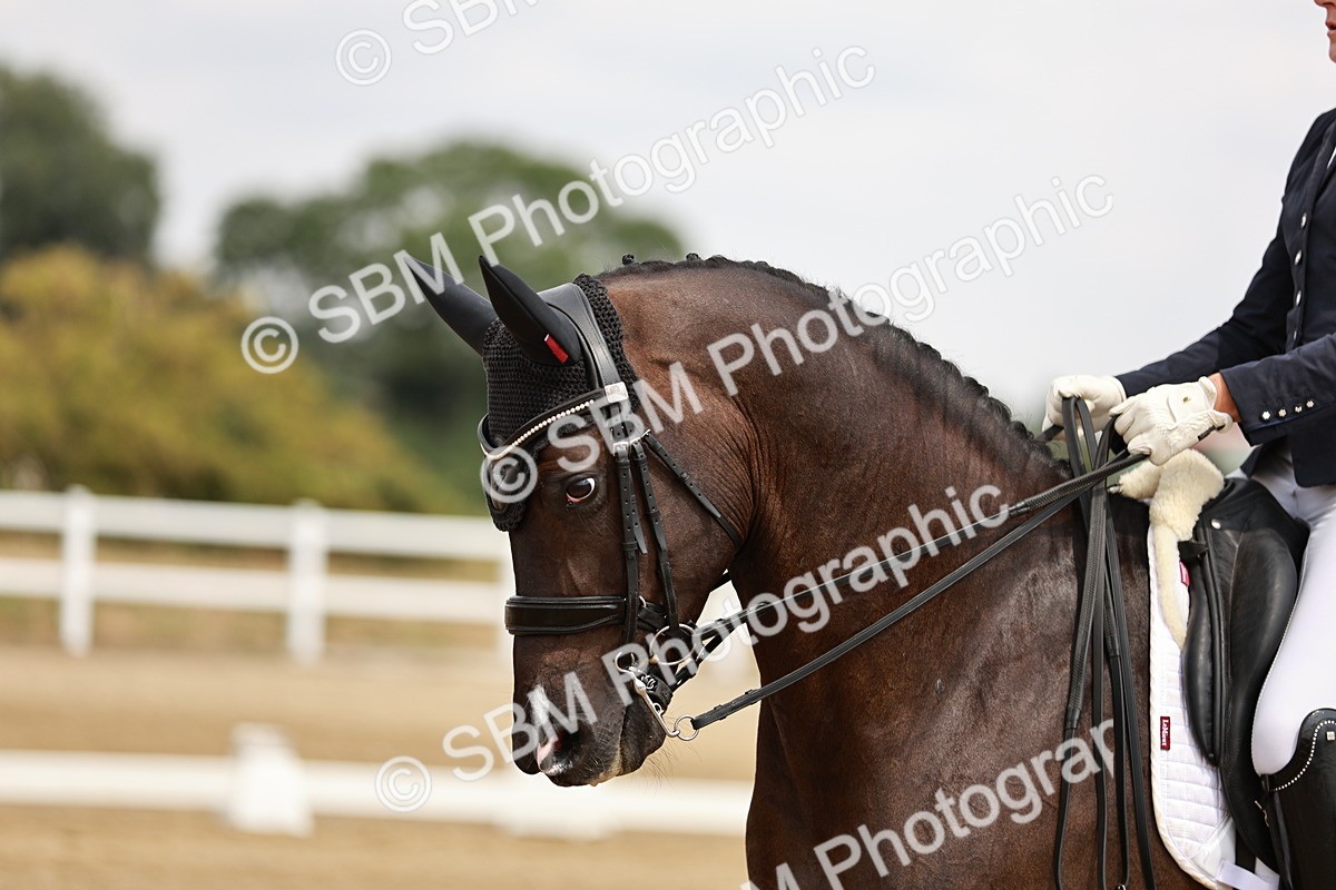 SBM_003606 - Class 7 - Advanced Medium 6 Gold - 13.16-14.36