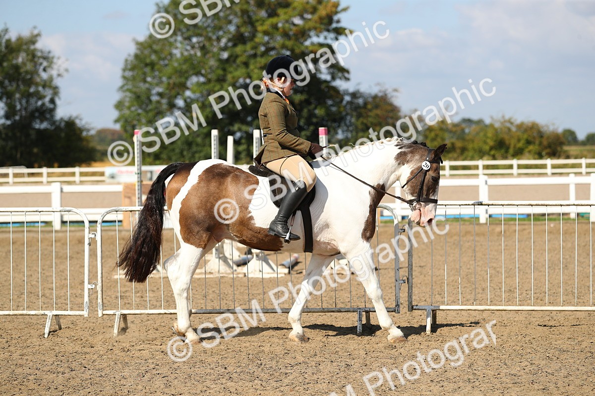 SBM_03097 - Class 44 Riding Club Horse/ Pony