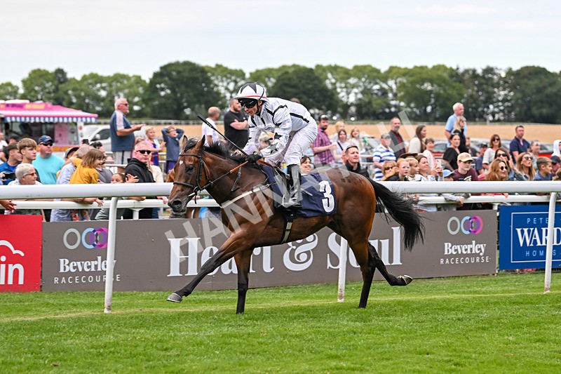 290725-Race 5-U Turn-0695 - Race 5