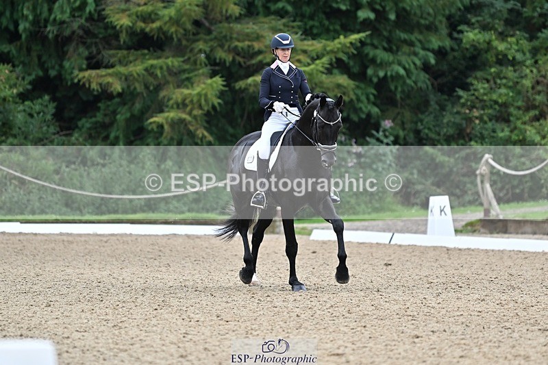 240810-103105-02684 - 235-Rebecca.Cowderoy-Nights.Dream