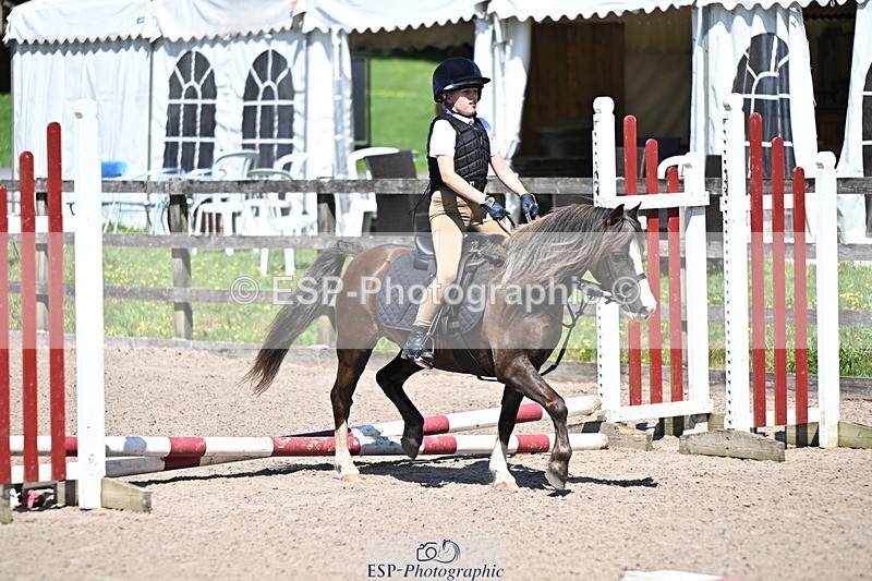 240729B-113656-02455 - Showjumping Competition