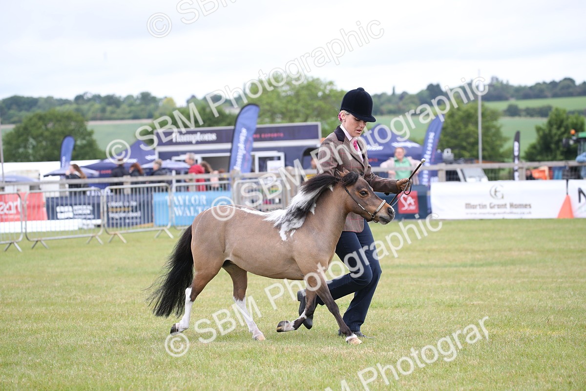SBM_03976 - Class 23-25 - British Miniature Horse of the Year