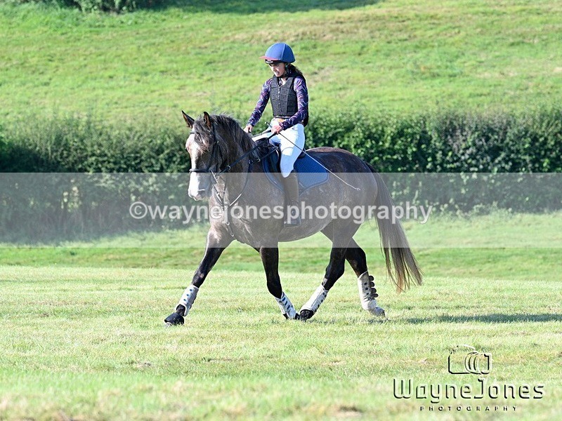 WJ7_5417 - Edited Examples