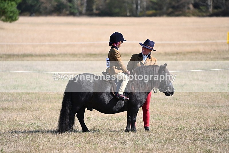 WJ6_7432 - Class 34 Judges Choice