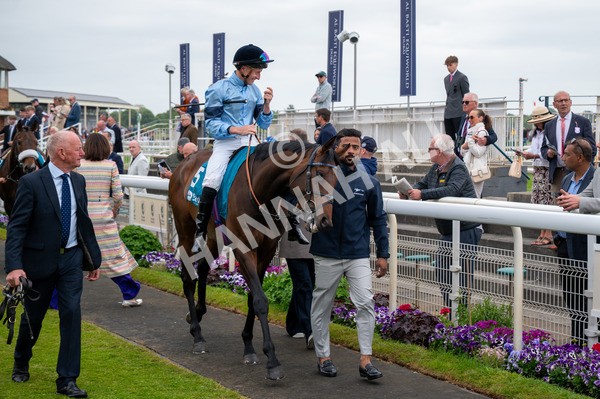 150525-Merchant-5791 - Race 7 5.25pm Haxby Handicap