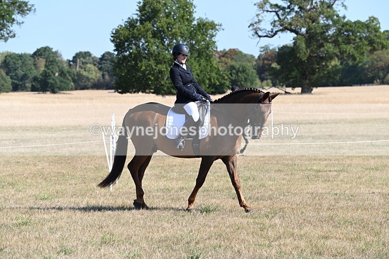 WJ6_7194 - Class 33 Rescue Pony