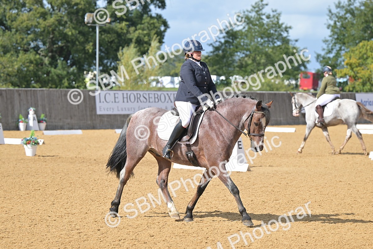 SBM_08659 - D8 - Small Tour Championship Prelim 1