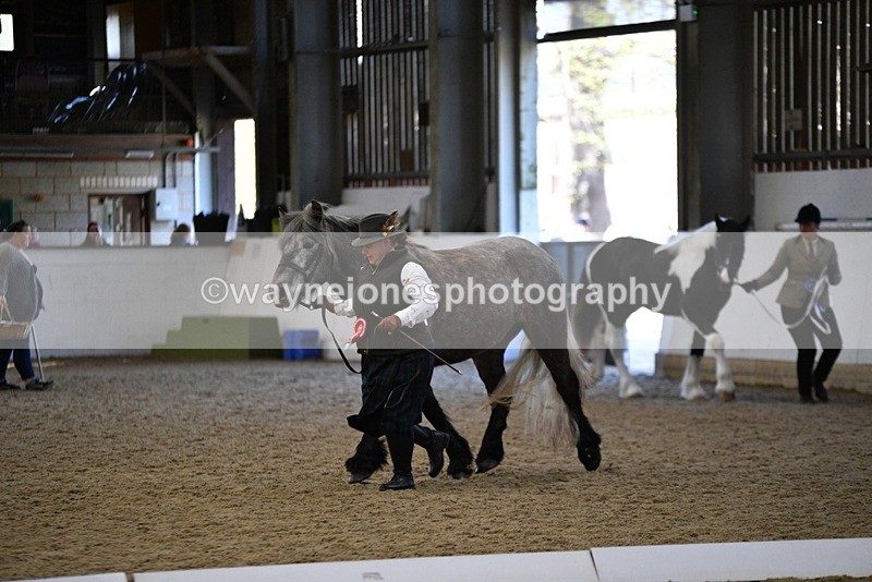 WJ5_3742 - Class 5 In Hand Veterans