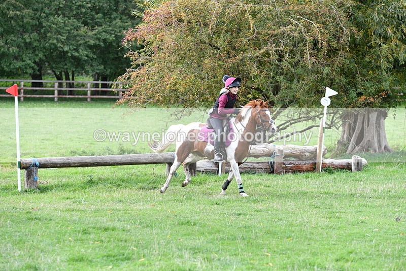 WJ5_0612 - Time 13:59 to 14:28