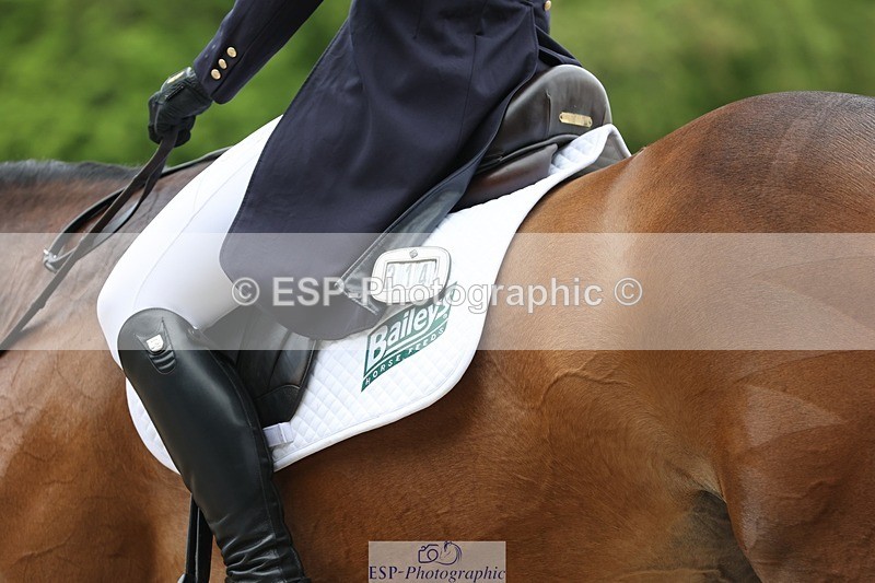 240523-104311-03387 - 214-DSH_GOLDEN_EYE-Lucinda_Mesquita