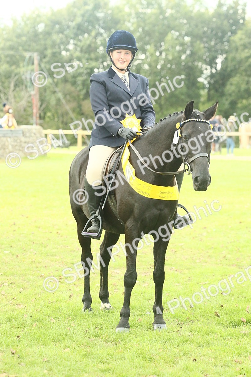 SBM_74146 - S 61 - Show Pony & Show Hunter Pony Ridden