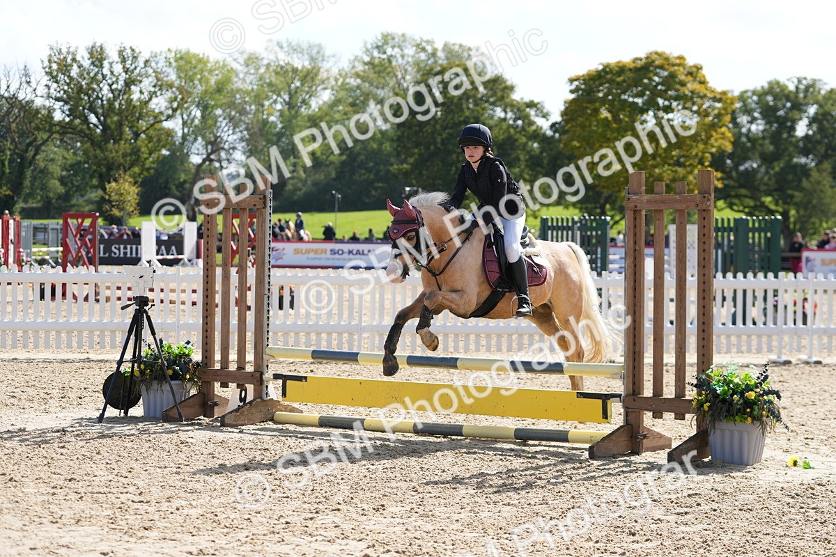 SBM_46683 - J7 - Junior Pony 60cm Championship