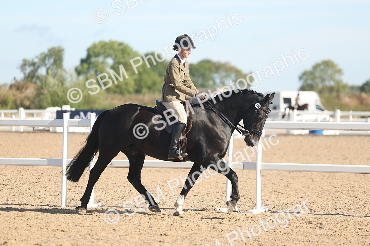 SBM_12307 - Class 304 - Ridden part Bred Horse Pony