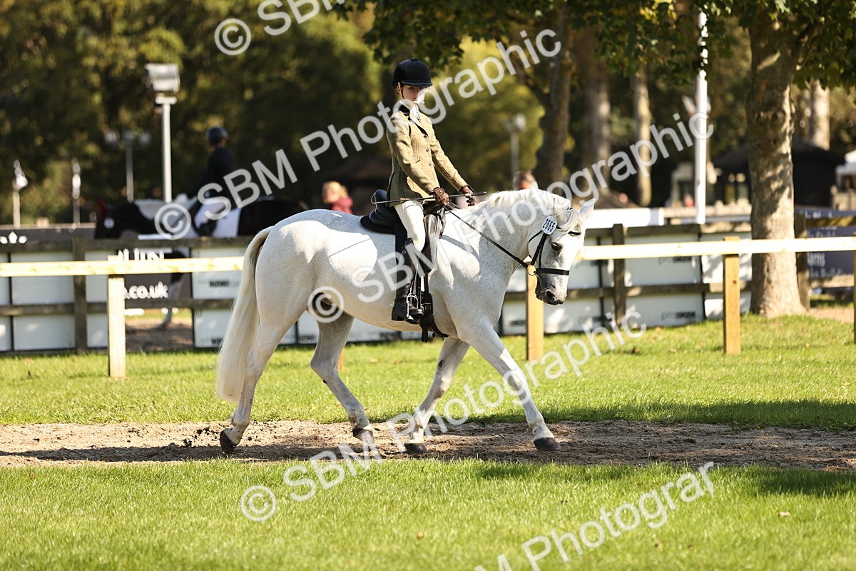 SBM_19126 - S3 - TSR Ridden Pony Showing