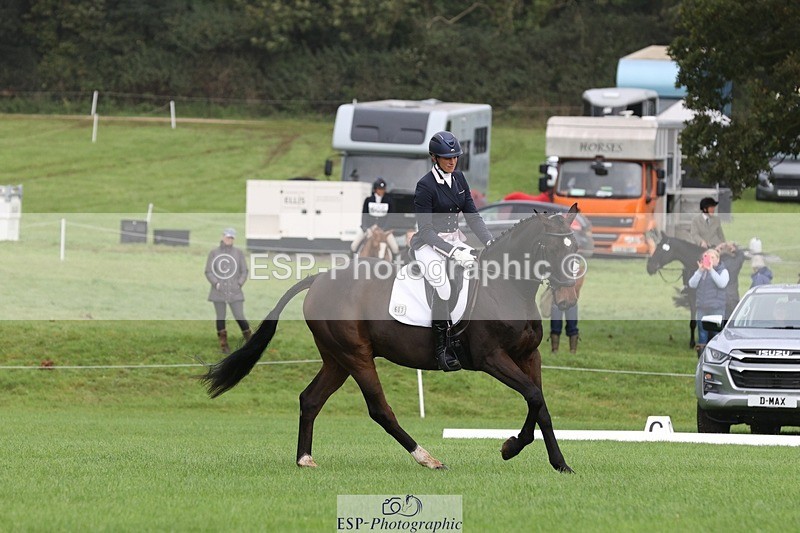 231019-102759-02327 - 603-KILBUNNY.BLUE.BIRD-Claire.Deuten-DR