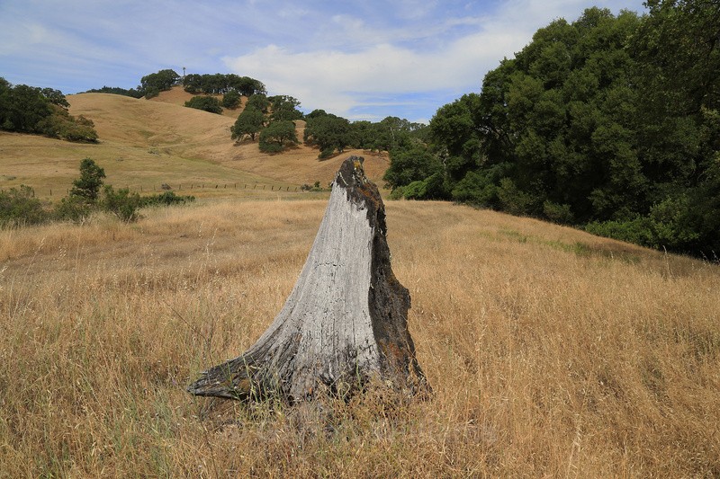 Evidence of fire - Abandoned Line