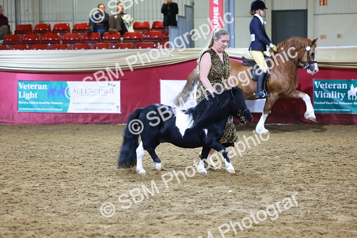 SBM_15243 - Class P - M&M Champ