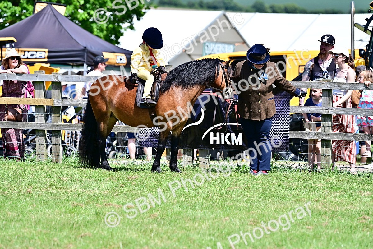 SBM_05901 - Class 59-60 - TSR M&M  Lear Rein and First Ridden Amateur of the year