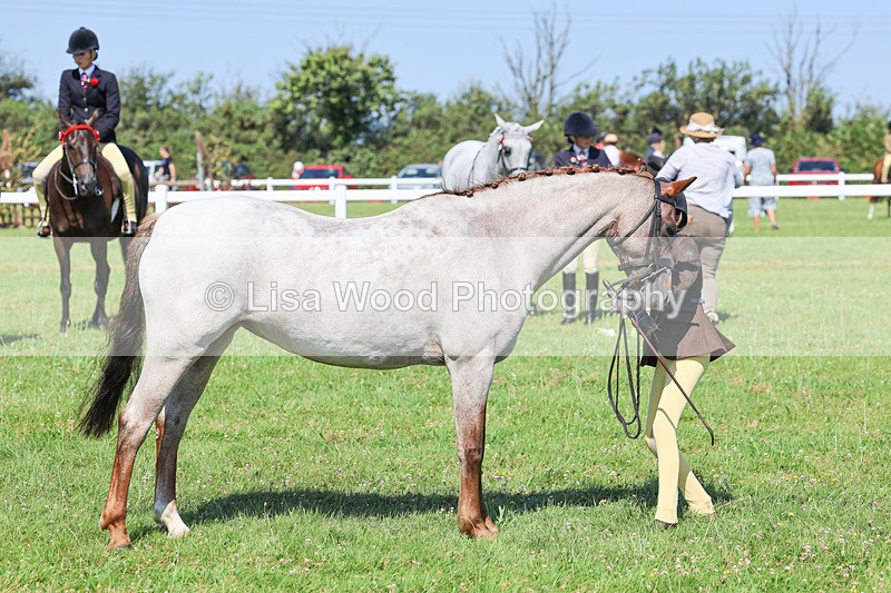 IMG_1960 - Class 33: Show Pony 148cm and under