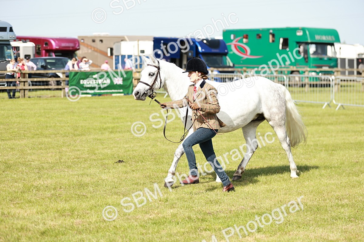 SBM_01642 - Class 14-23 - Mountain & Moorland In Hand Non Welsh