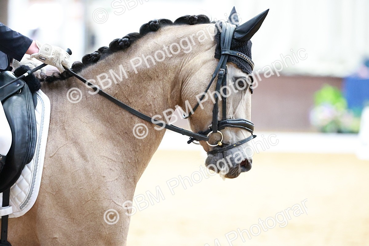 SBM_017214 - Class15 - FEI Pony