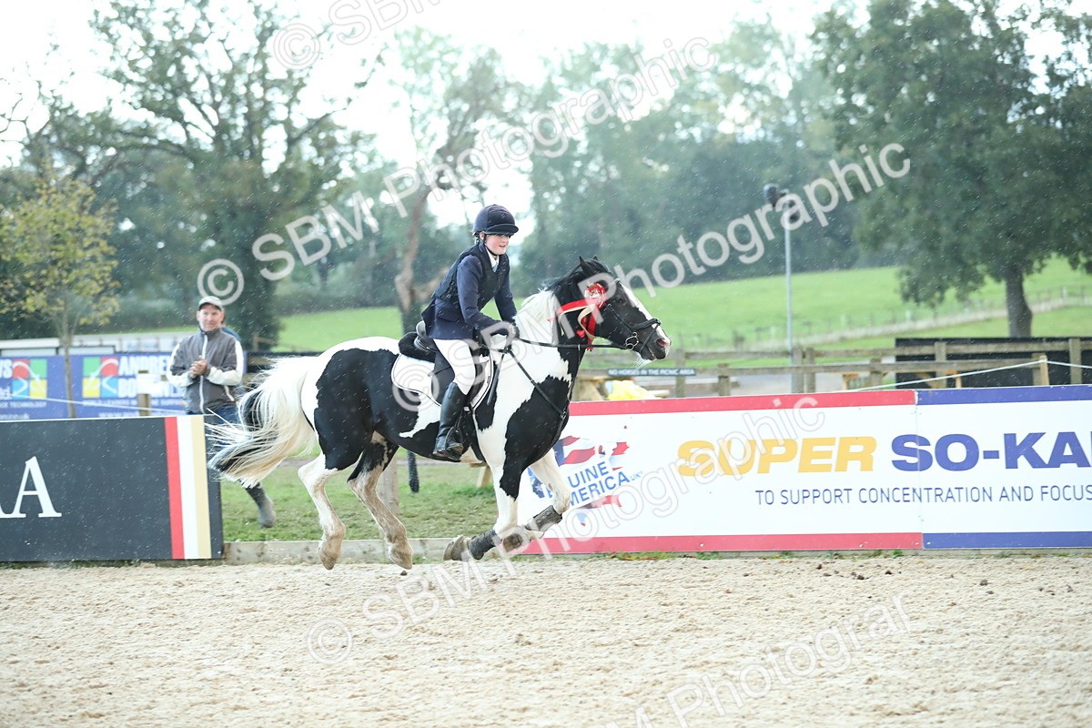 SBM_53804 - Supreme Championship 65cm 70cm