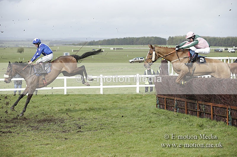 PtP 150320 0397 - New Forest Point-to-Point Larkhill 15/03/20