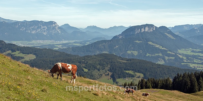 Mittermooser Joch 5 - Travel, city/land scapes