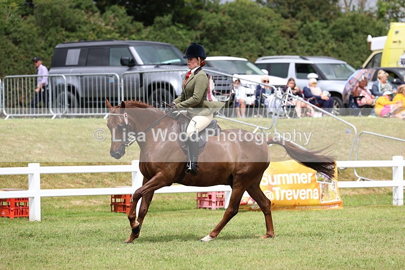 3E7A0940 - Class 8: Open Riding Horse/Hack