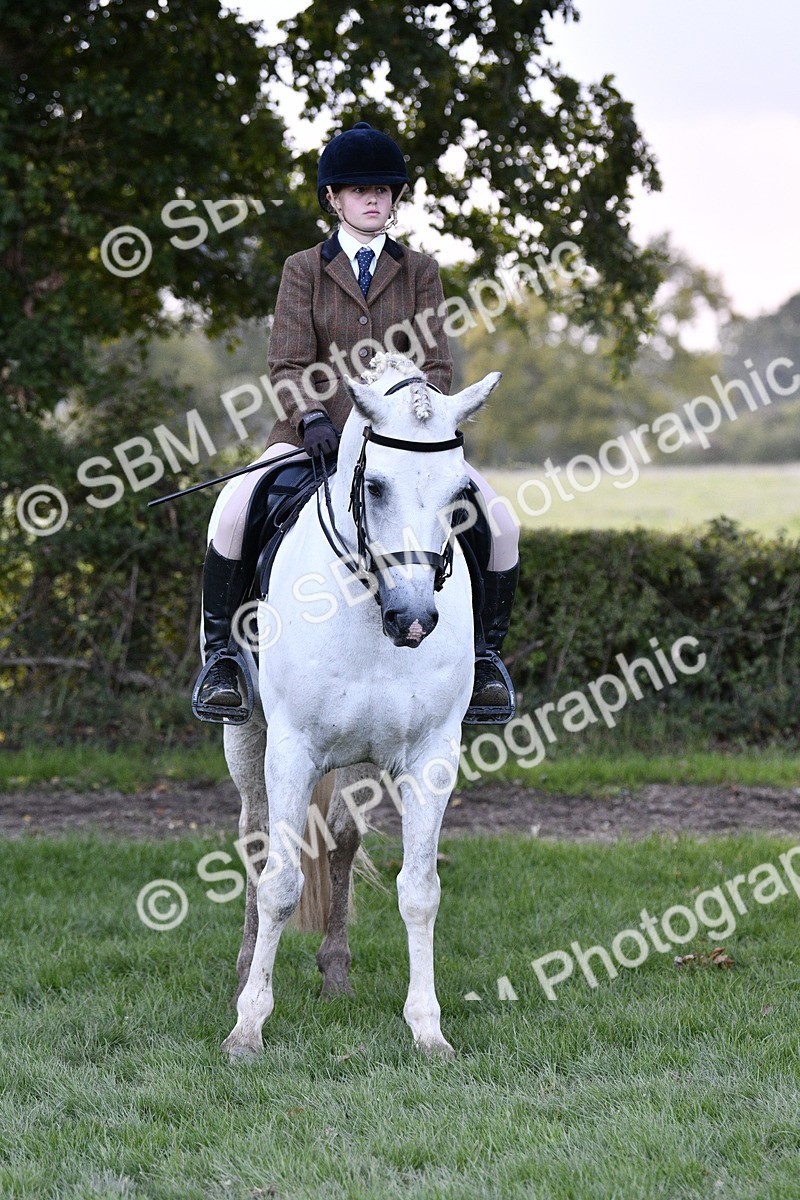 SBM_53597 - S14 - Riding Club Horse