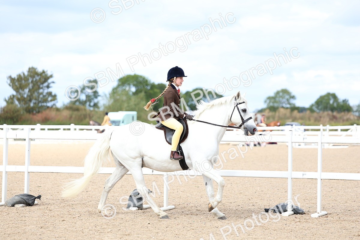 SBM_15777 - Class 314 - Family Horse - Pony