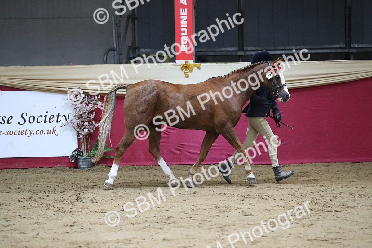 SBM_04954 - Class 8R- Regional -IH Veteran