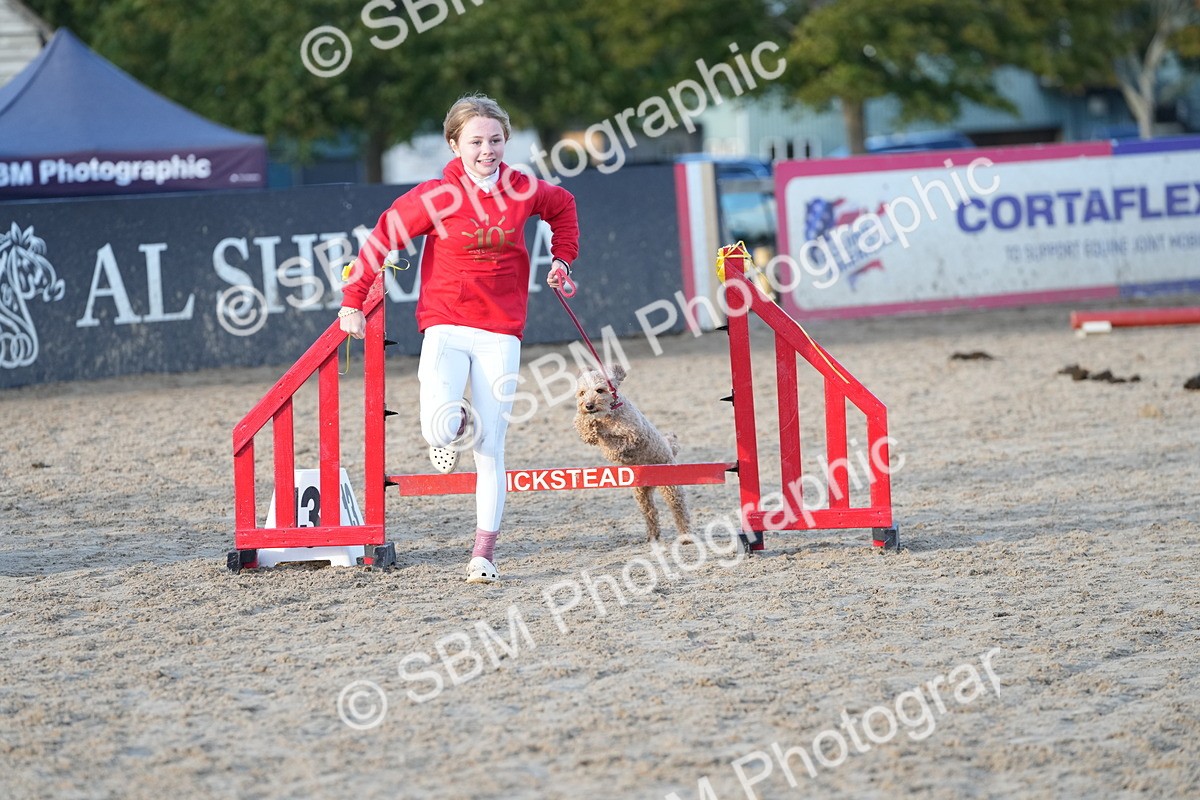 SBM_29481 - J44 - Horse & Hound Open 70cm