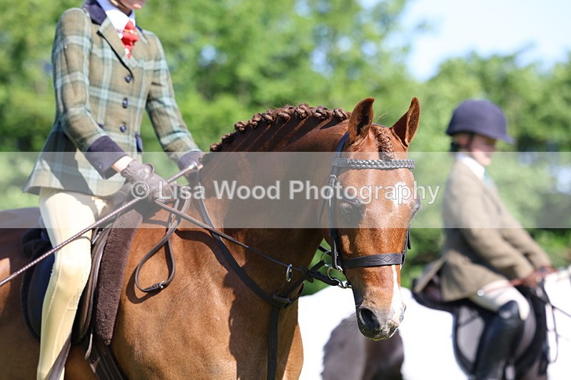 3E7A6000 - Class 27: Novice Working Hunter Pony