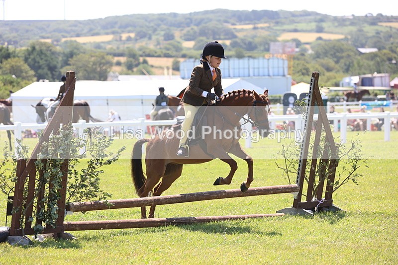 JPP_2245 - Class 20: Tiny Tots Working Hunter Pony
