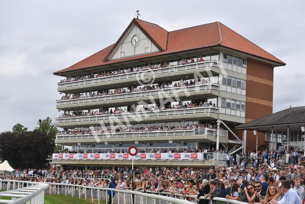 yr23072022r5-59 - Race 5 4.25pm Sky Bet UK's No1 Betting App Stakes