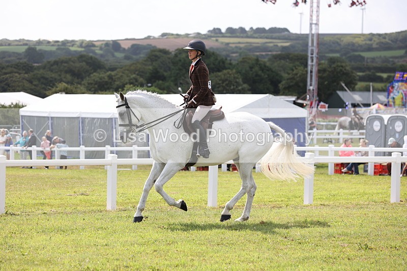 JPP_1262 - Class 17: Cornish Combination Open