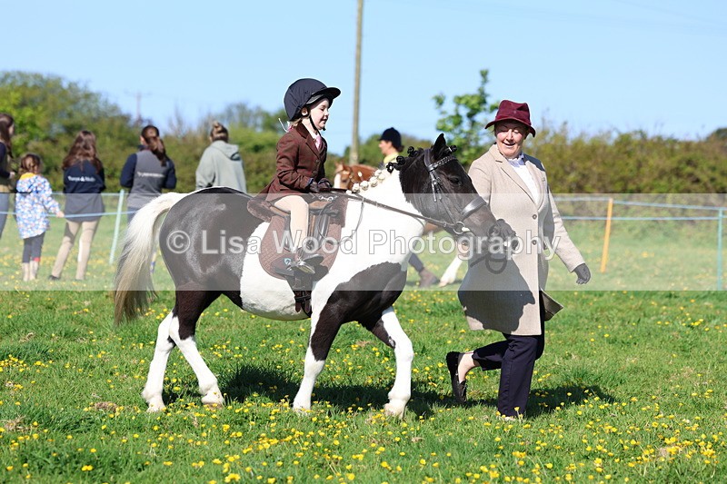 3E7A8860 - Class 2: Lead rein