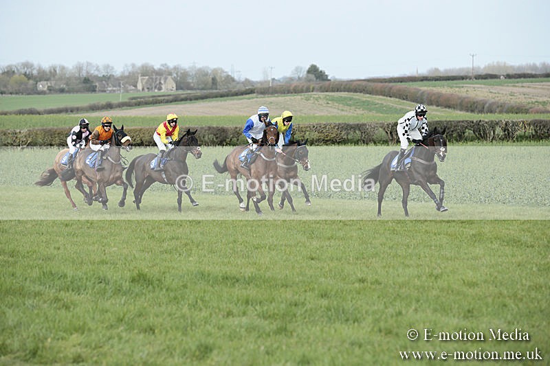 PtP 230319 244 - VWH Hunt Siddington Point-to-Point Racing 23/03/19