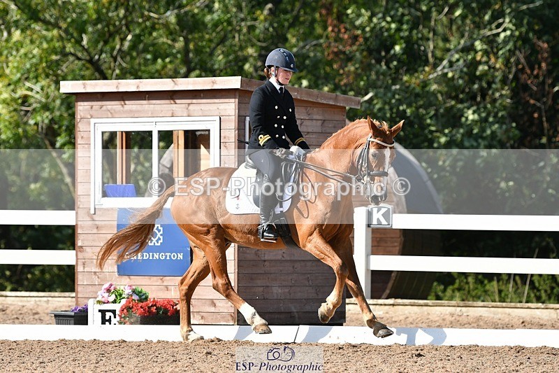 250906-155156-04472 - 122-India.JohnGrayswood.Orlando