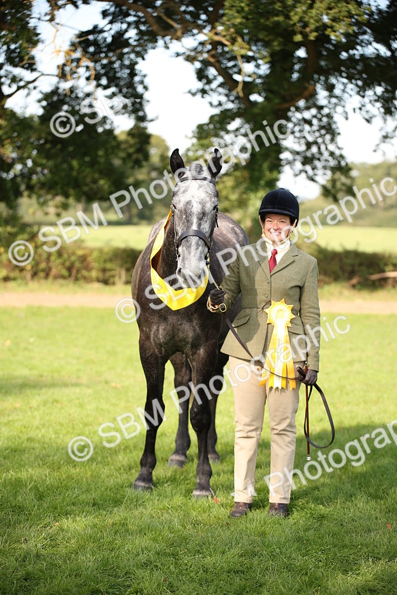 SBM_60133 - S53 - Hunter In Hand