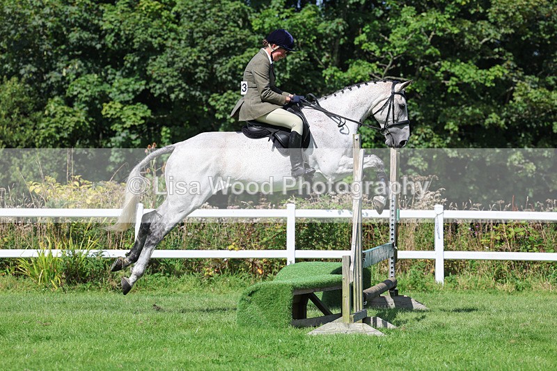 3E7A8577 - Class 5: Working Show Horse