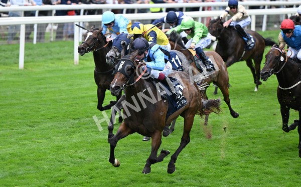 220825-141 Asfoora - Race 4 3.35pm Coolmore Wootton Bassett Nunthorpe Stakes