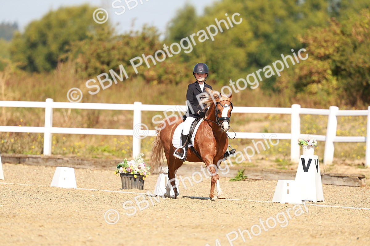 SBM_017567 - Class 9 - N5 Bronze 10.33.11.36