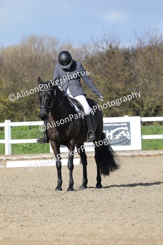 20260314-4846 - CT6 - Elementary 1