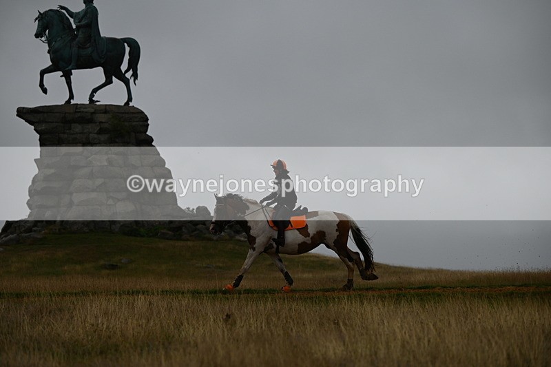 DSC_1546 - Time at Statue 11:54 to 12:12