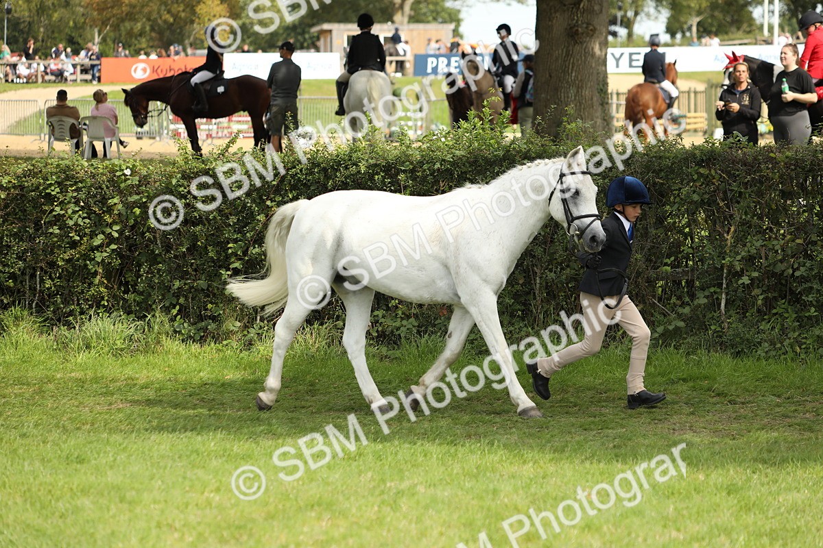 SBM_67711 - S39 - Junior Handler 8  Years & Under
